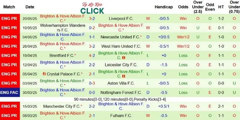 Thành tích mới nhất phía Brighton