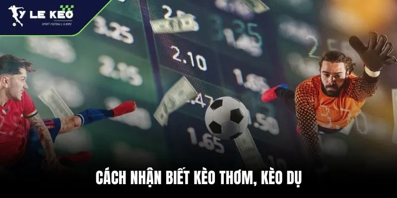 Tỷ Lệ Kèo 168 Cách nhận biết kèo thơm, kèo dụ